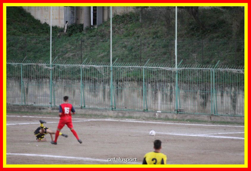 181111 Cepha_Milazzo 310_tn.JPG